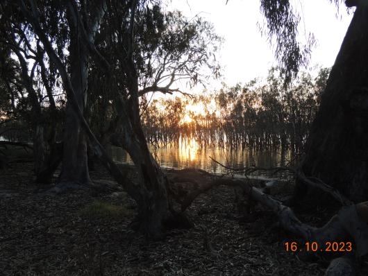 Sunraise Lake Mournpall